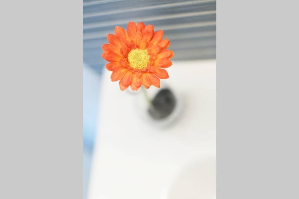 Apartamento Diseno A Cien Metros Del Mar. 托里代巴拉 外观 照片
